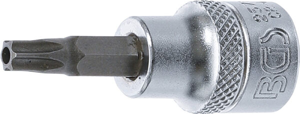 Bit-Einsatz  Antrieb Innenvierkant 10 mm 38  T-Prof...