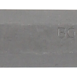 Bit  Länge 75 mm  Antrieb Außensechskant 10 mm 38 ...